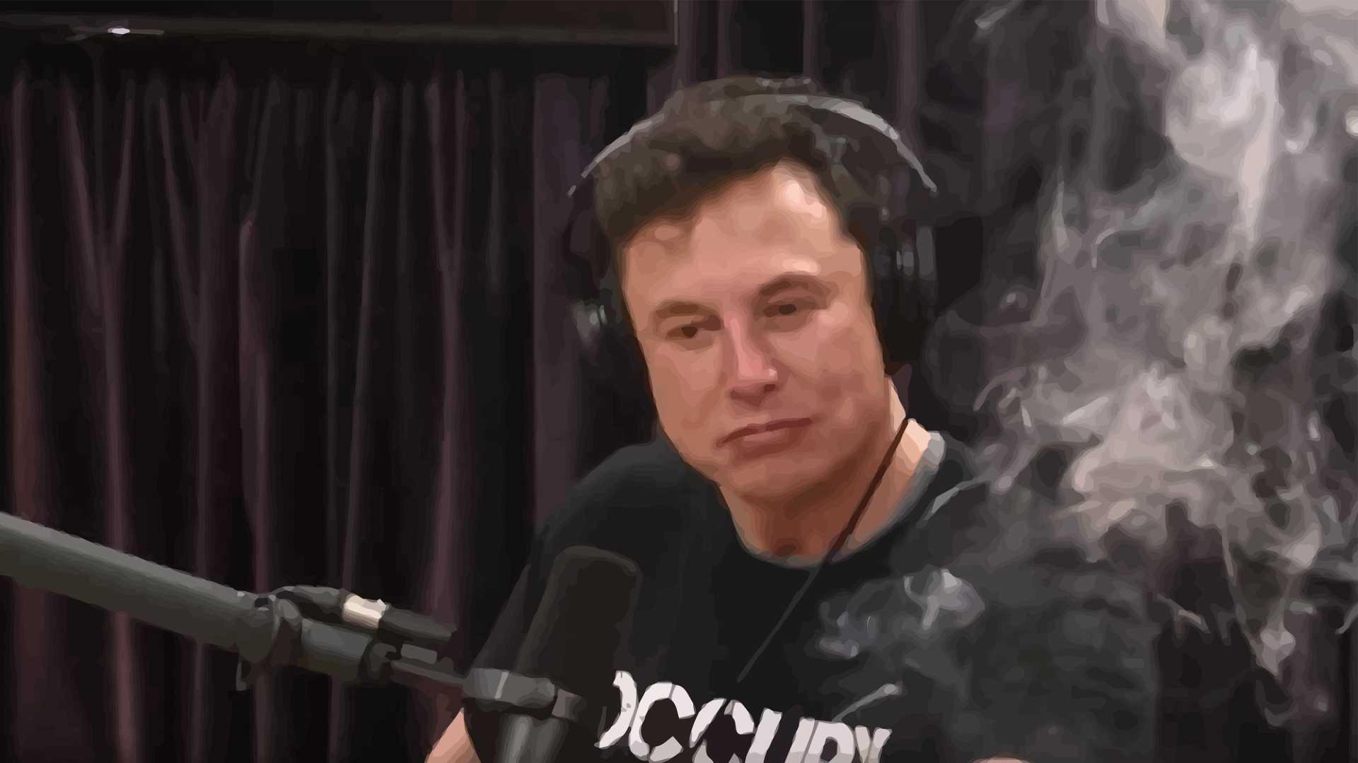 elon musk